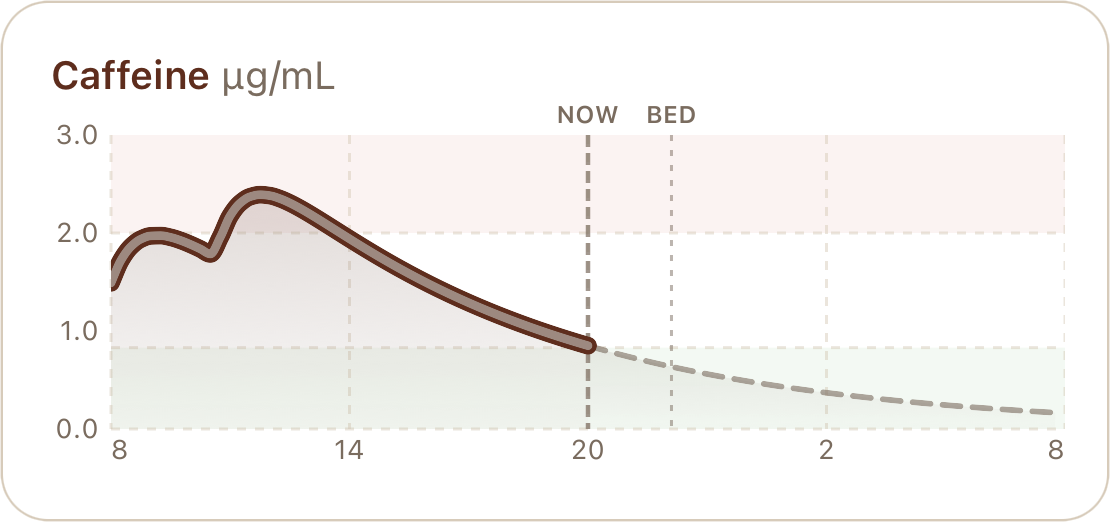 Caffeine chart in micrograms per millilitre with the current level, a projection to bedtime and NOW and BED markers