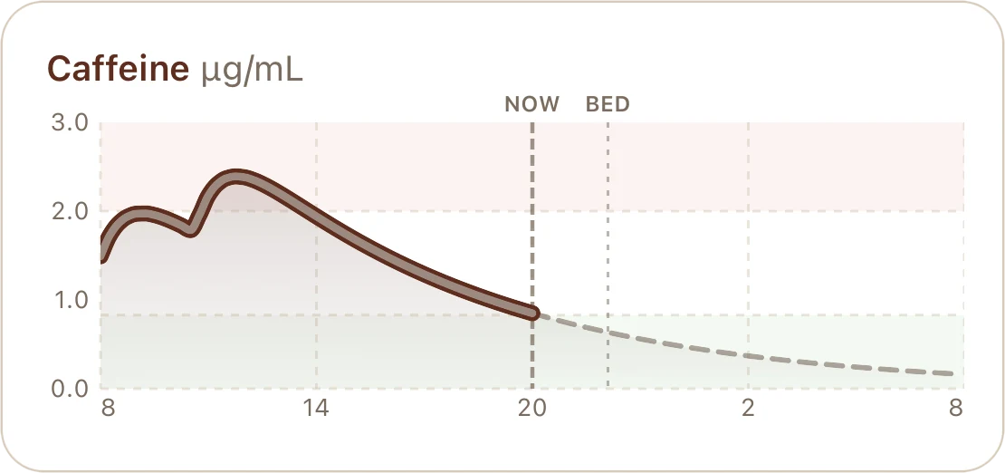 Caffeine chart in micrograms per millilitre with the current level, a projection to bedtime and NOW and BED markers