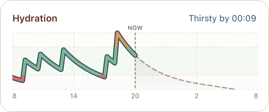 Hydration chart: a live curve of your hydration level through the day with a dashed forecast and a Thirsty-by time